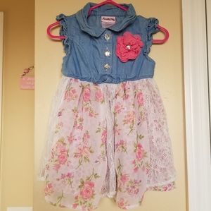 2T Nanette Baby Spring Dress